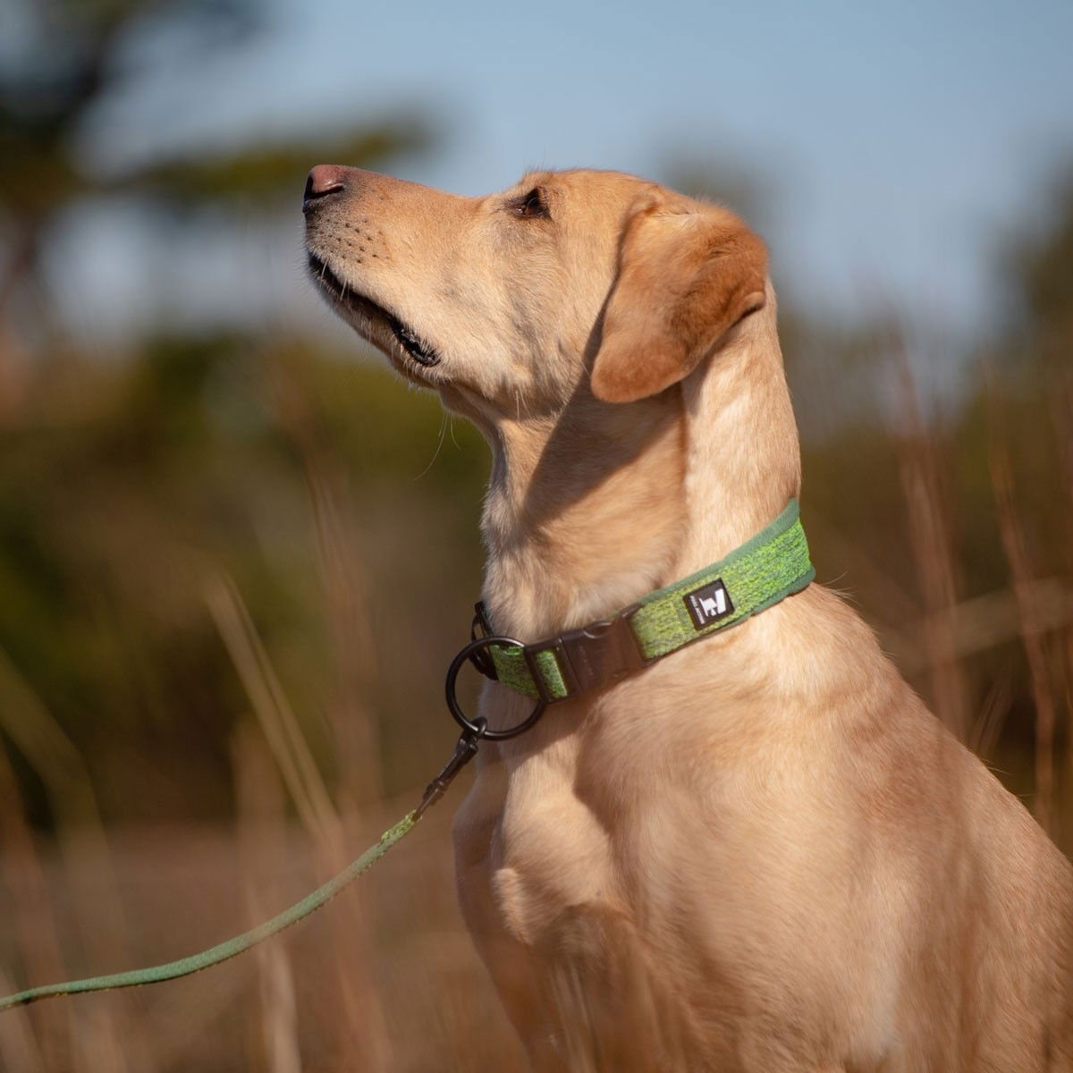 Feel Active Padded Collar Forest Green
