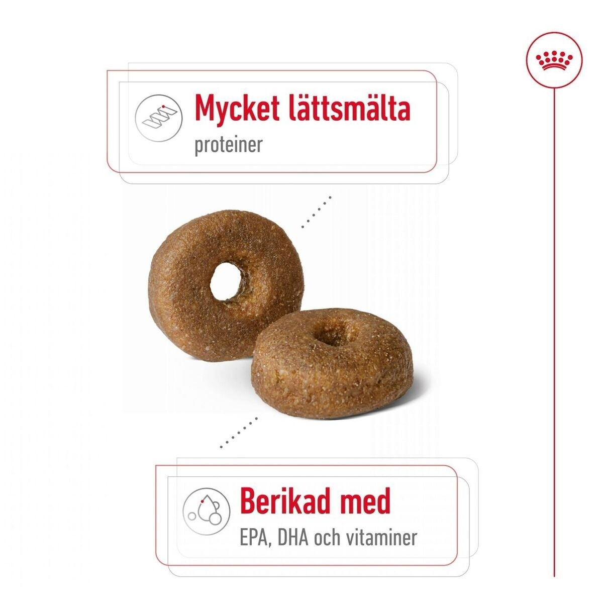 Royal Canin Maxi Ageing 8+ torrfoder för hund
