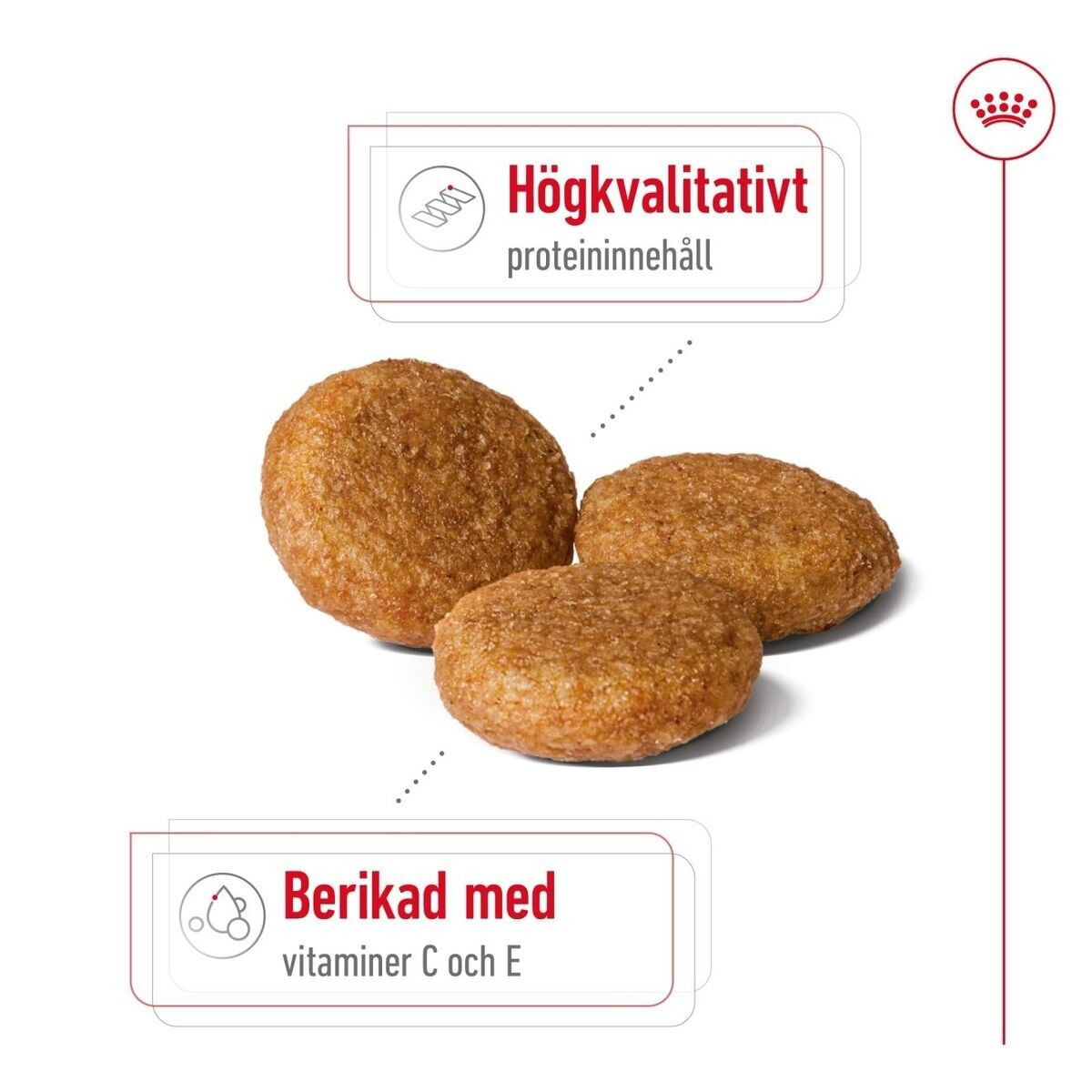 Royal Canin Medium Adult torrfoder för hund