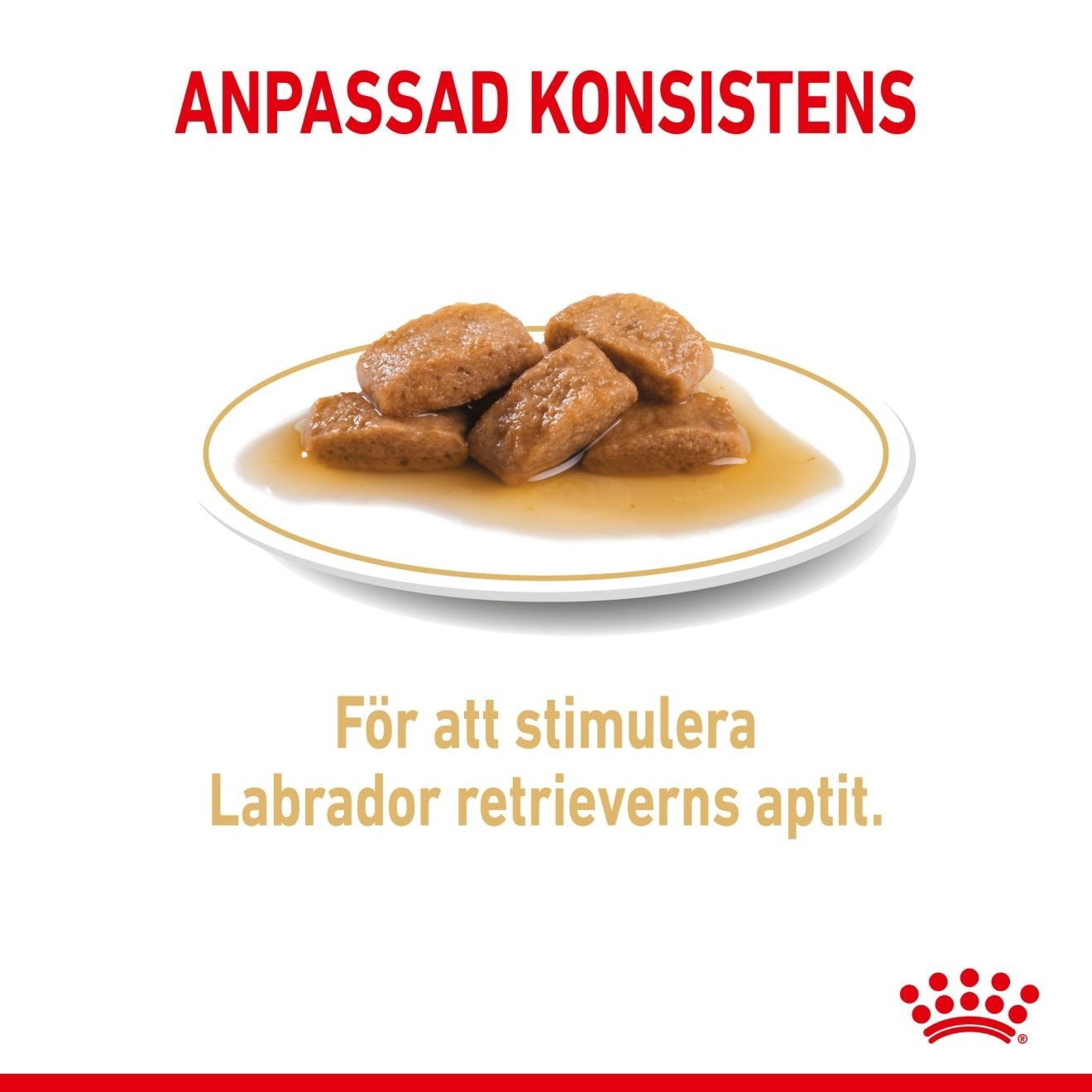 Royal Canin Breed Labrador Retriever 10 x 140 g