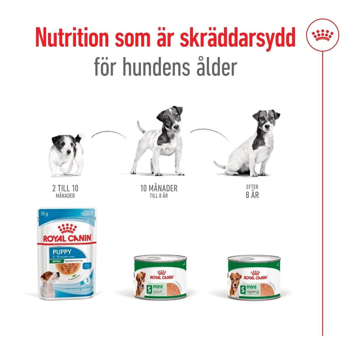 Royal Canin Mini Ageing loaf can 195g