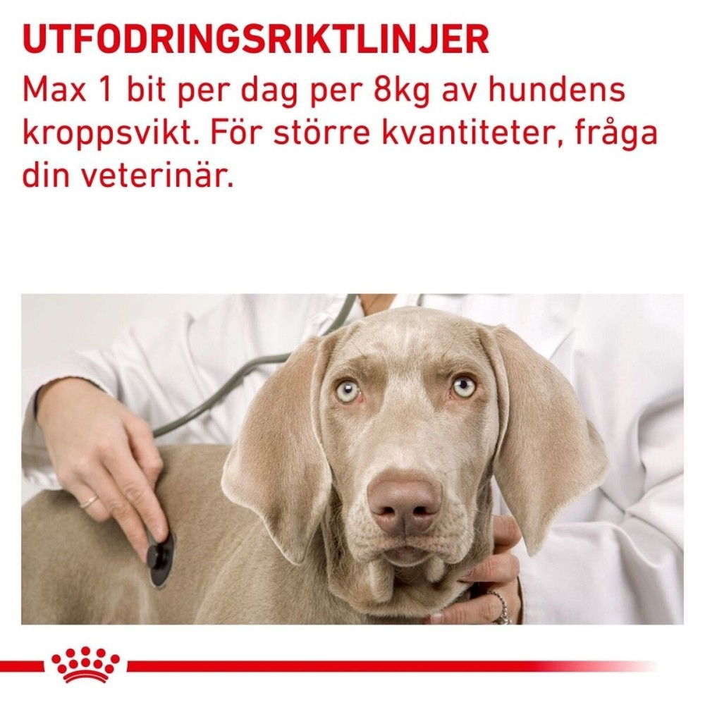 Royal Canin Veterinary Diets Dog Pill Assist M/L 225g