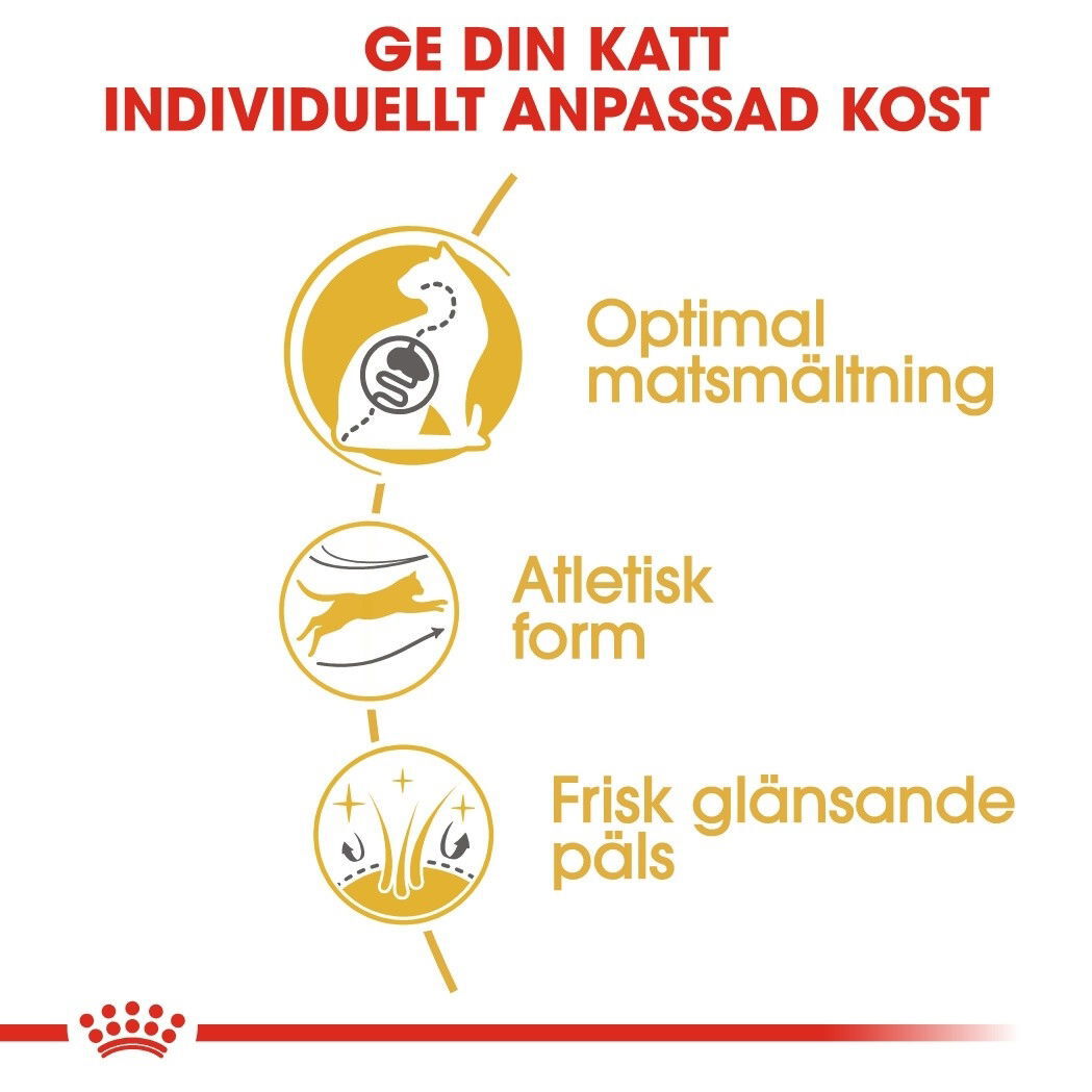 Royal Canin Bengal Adult torrfoder för katt