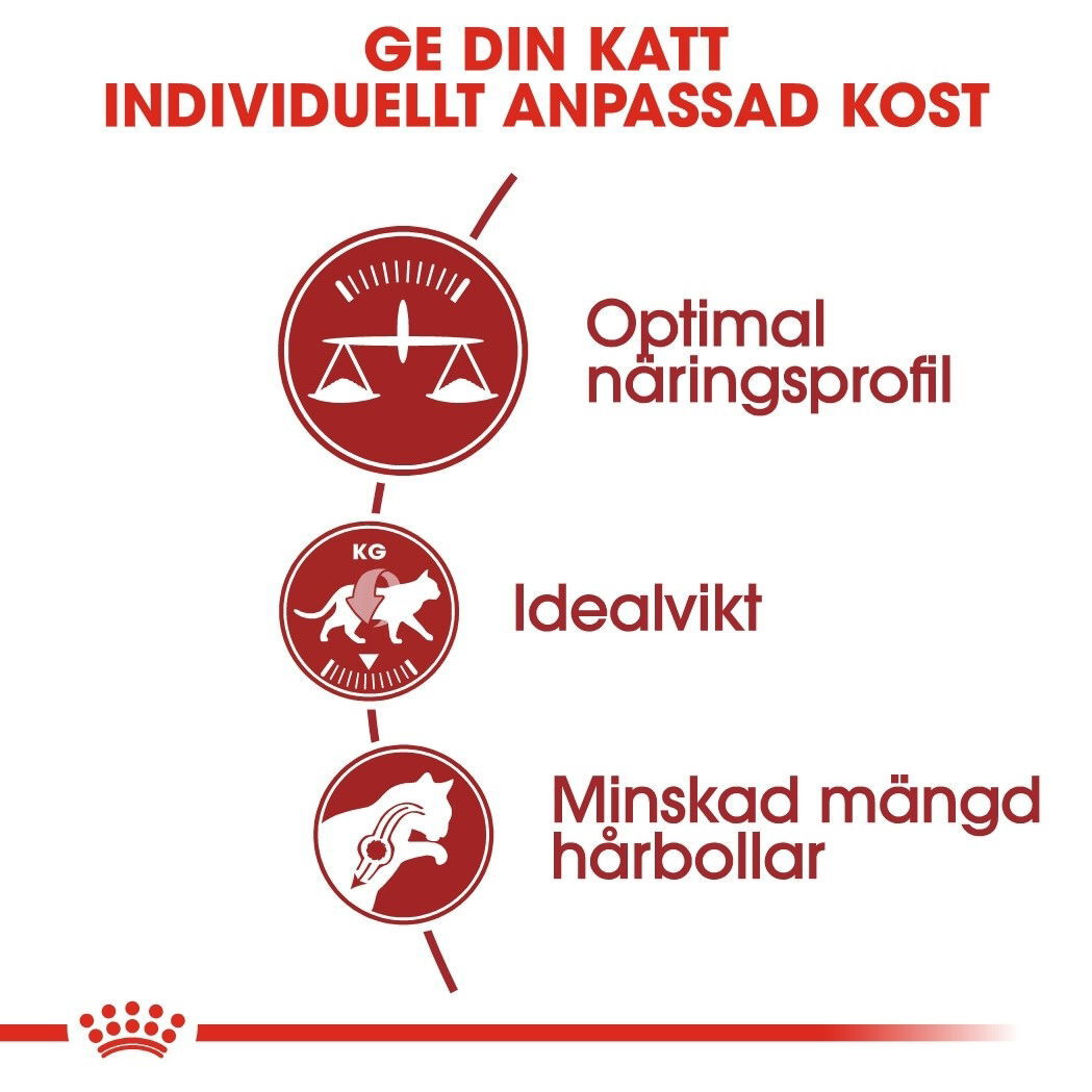 Royal Canin Fit Adult torrfoder för katt