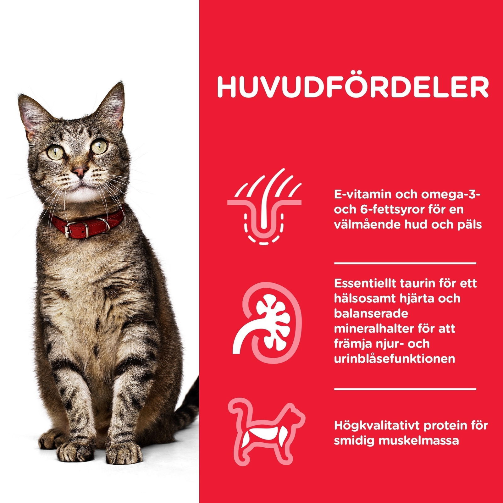 Hills Science Plan Feline Adult Chicken