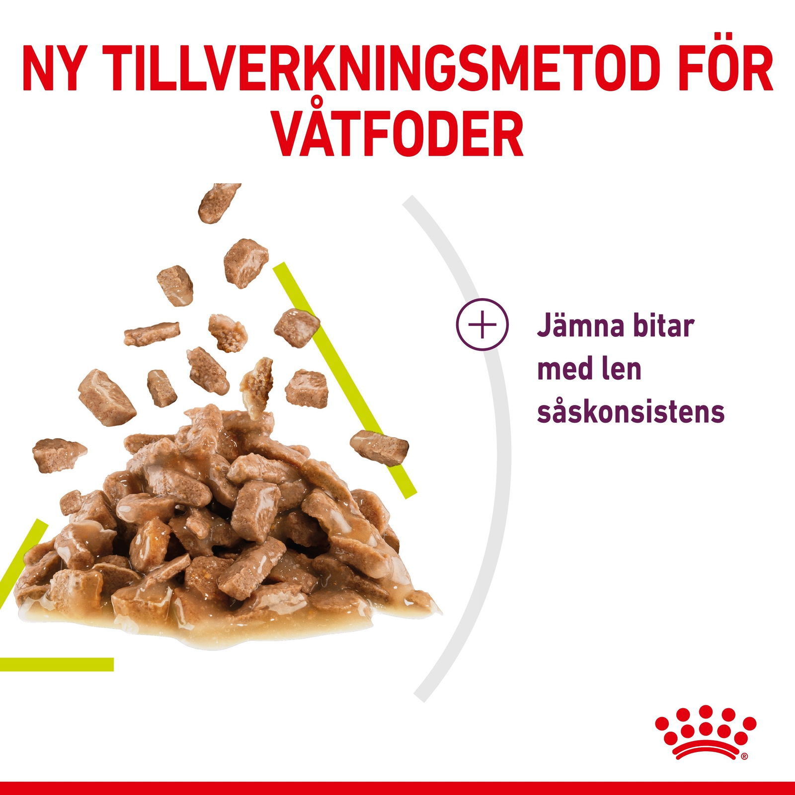 Royal Canin Sensory Smell Gravy Adult våtfoder för katt