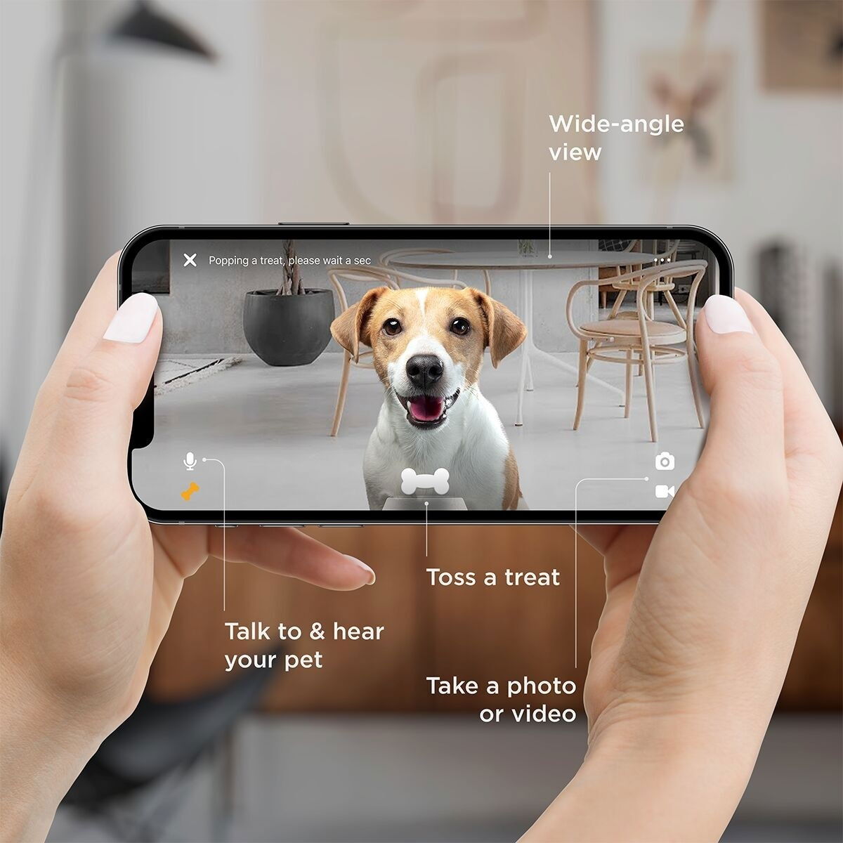 Petcube Bite 2 Lite