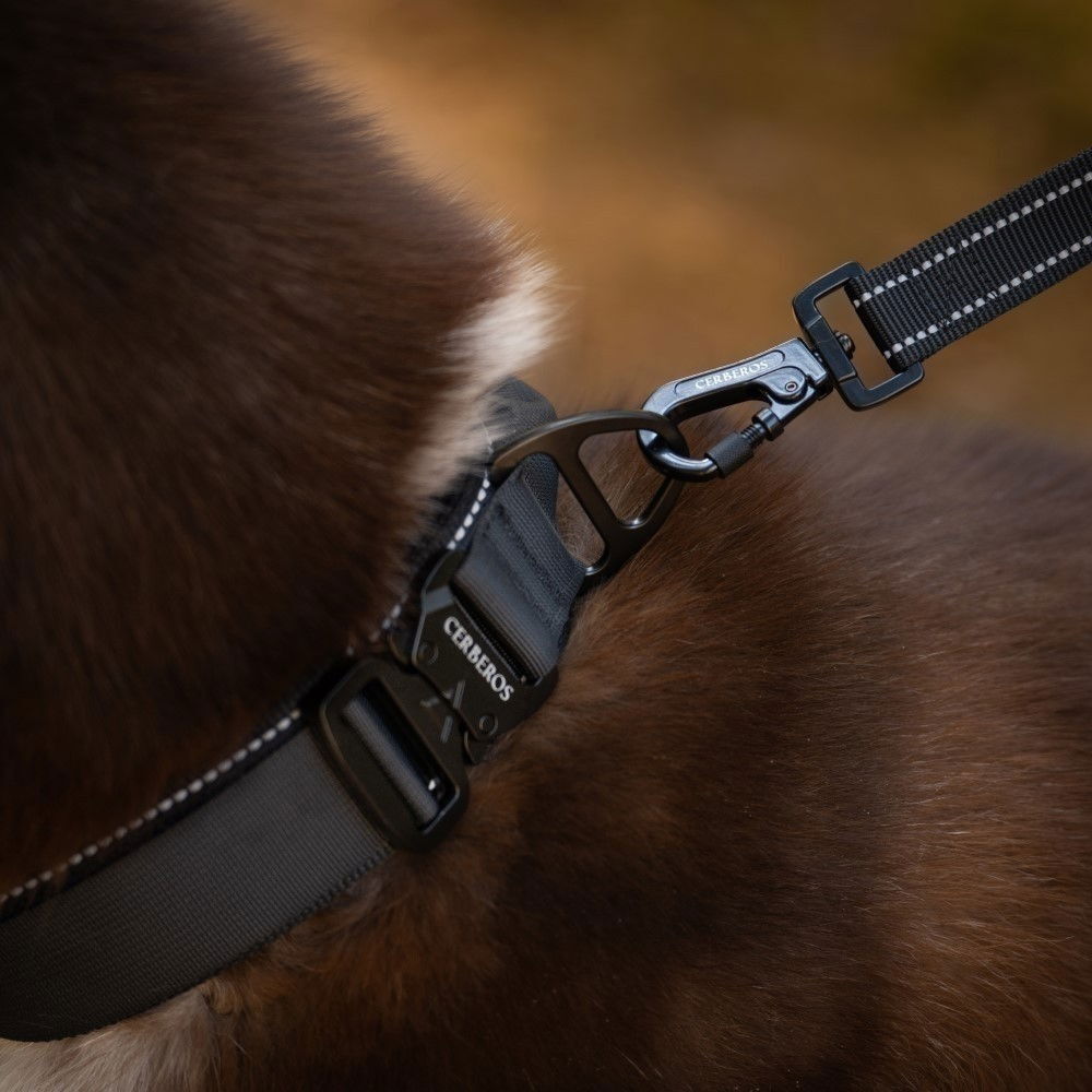 Cerberos Dog Leash Black, 3m