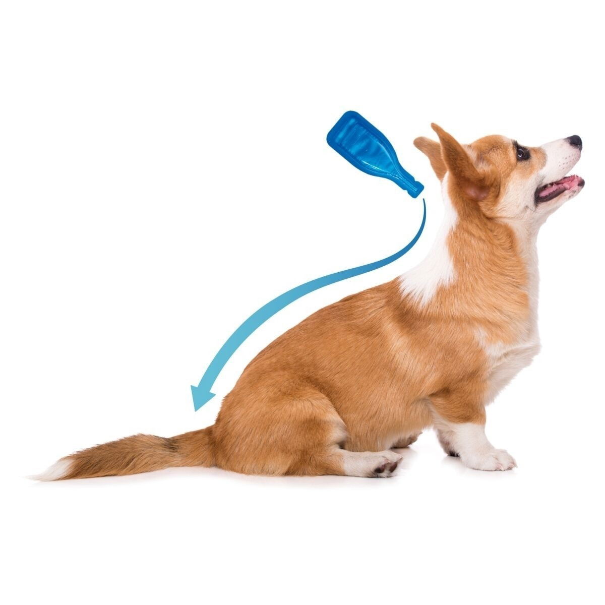 Dimethicare Line-on medium dog (6)