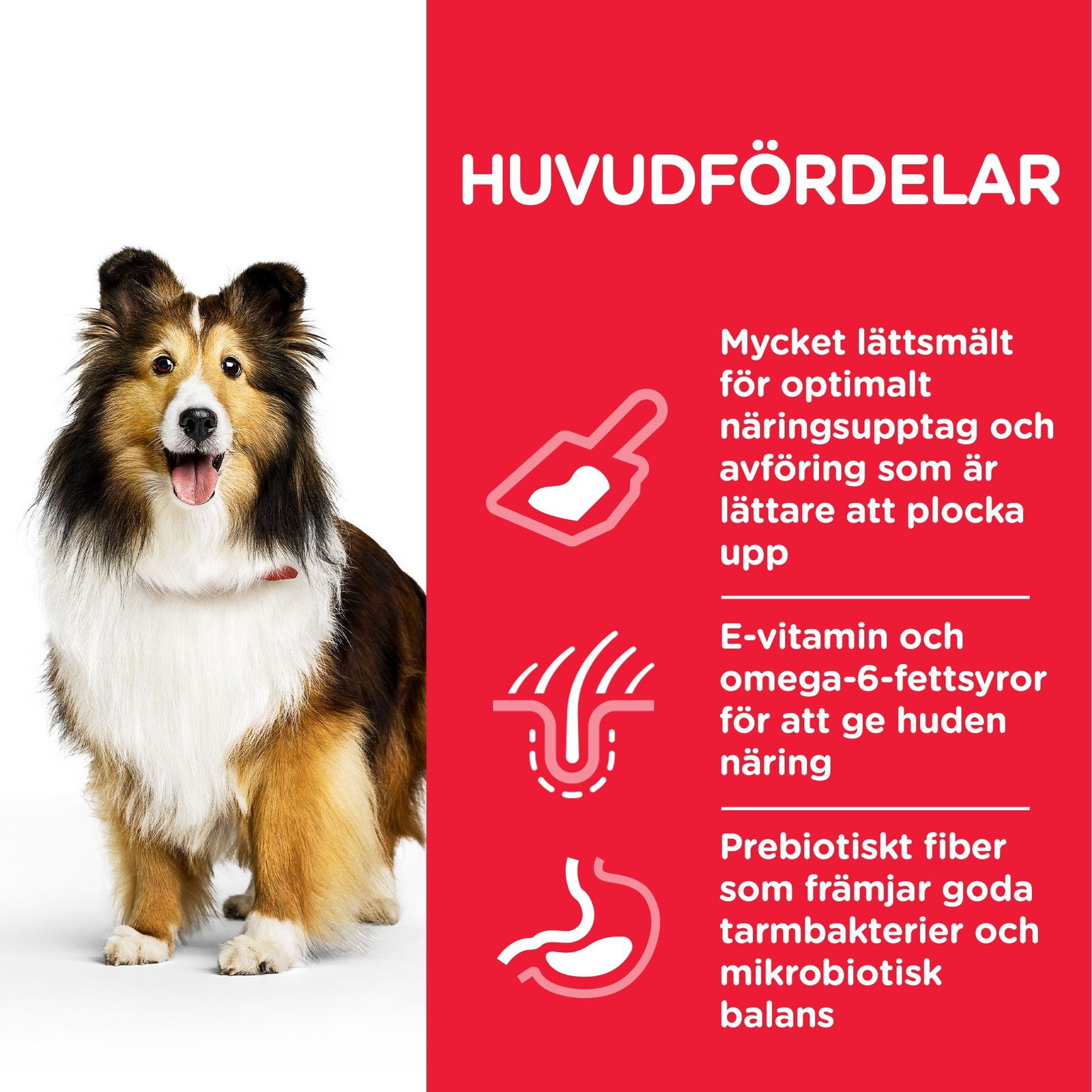 Hill's Science Plan Dog Sensitive Stomach & Skin