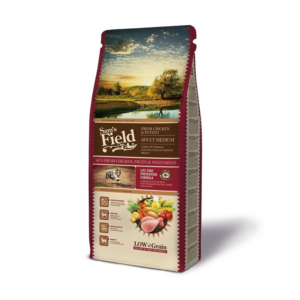 Sam's Field Chicken & Potato Adult Medium