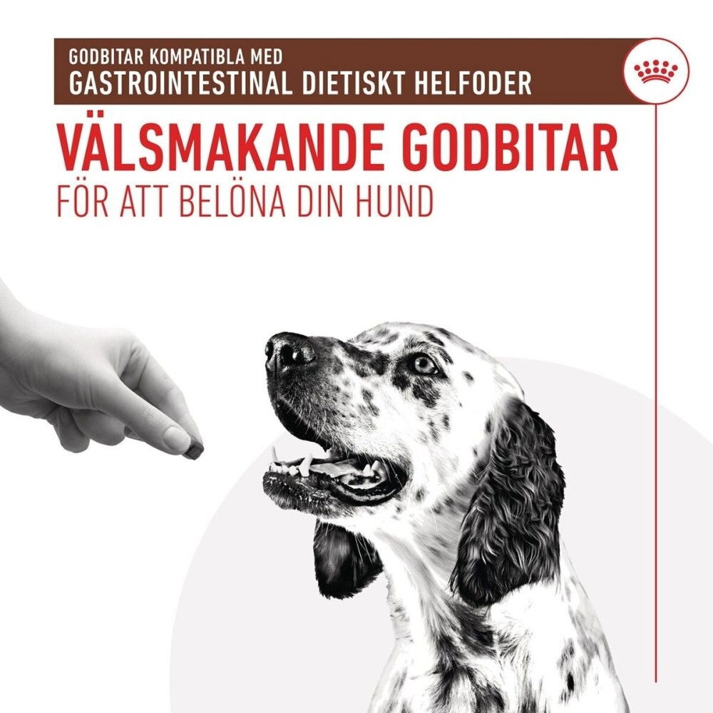 Royal Canin Veterinary Diets Dog Gastro Treats 230g