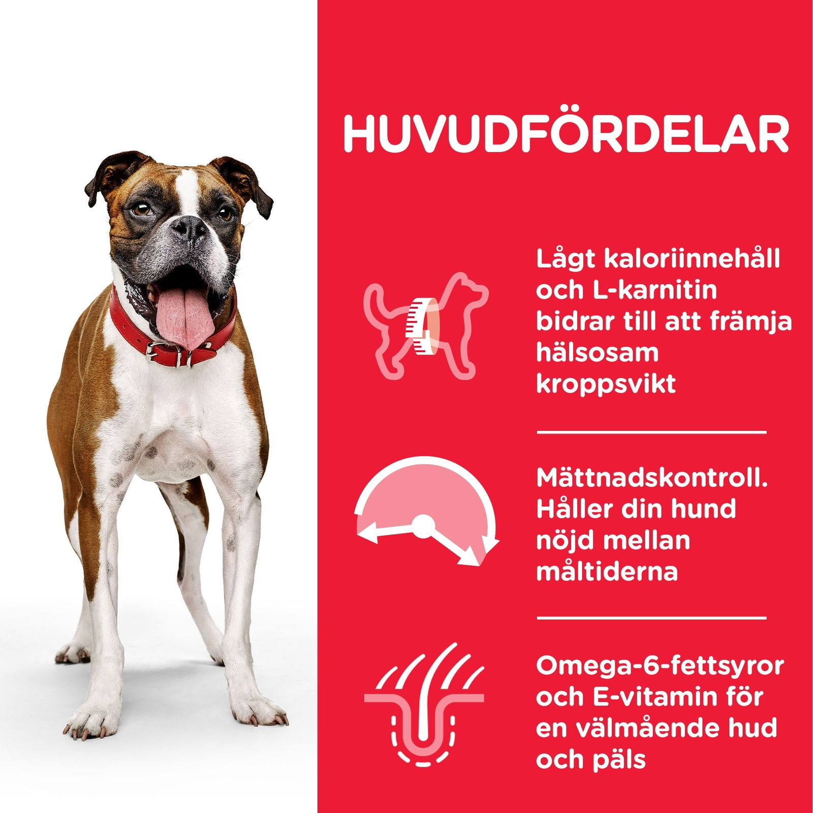 Hill's Science Plan Dog Adult Light Chicken