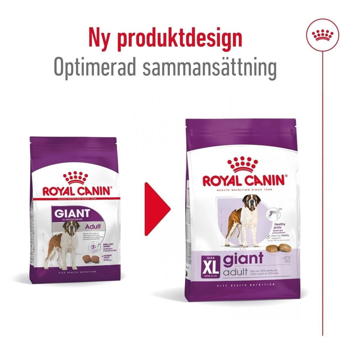 Royal Canin Giant Adult torrfoder för hund