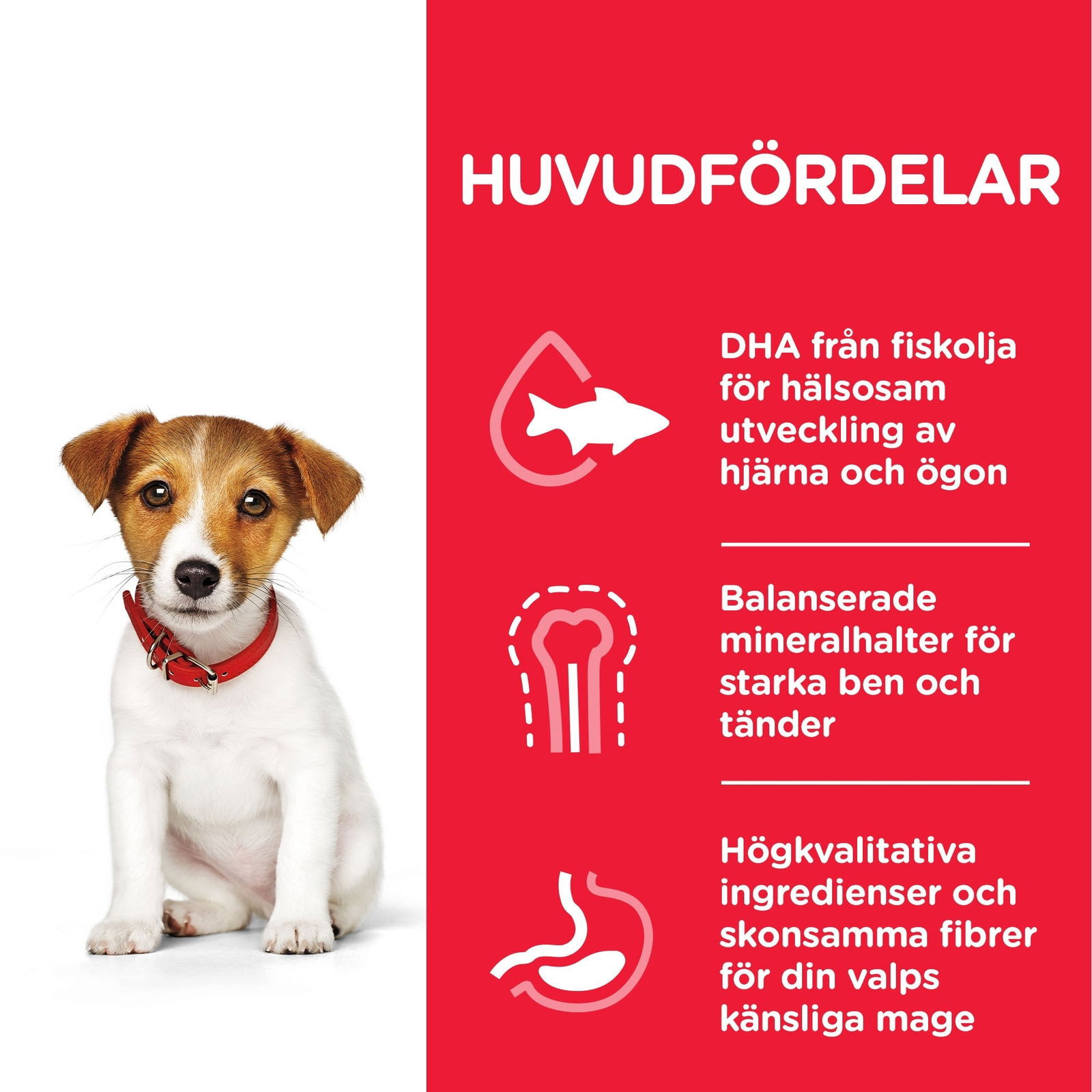 Hill's Science Plan Puppy Small & Mini