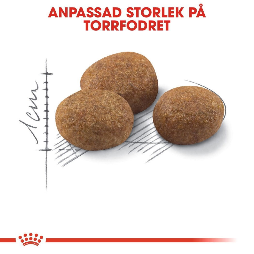 Royal Canin Sterilised 7+ Ageing torrfoder för katt