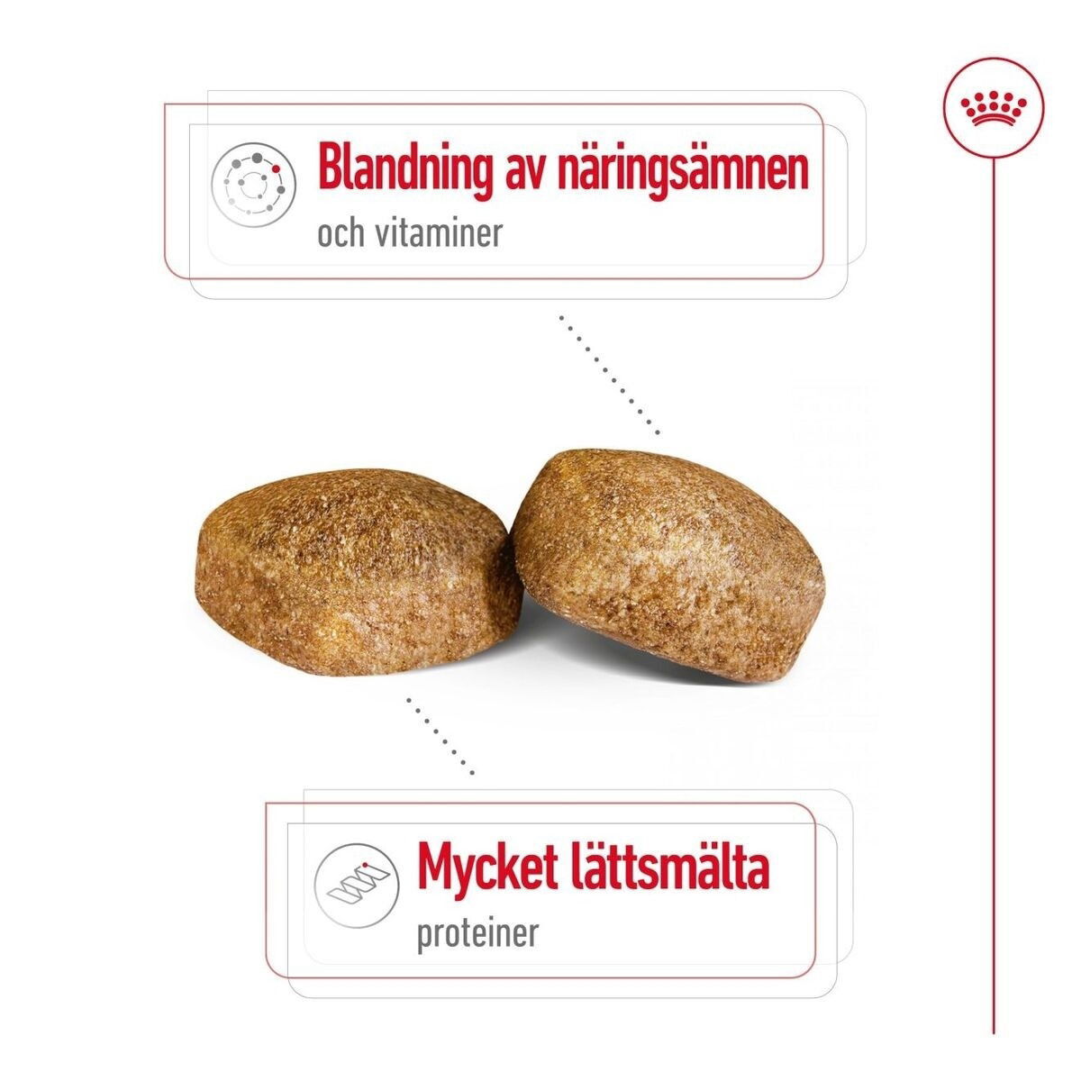 Royal Canin Giant Adult torrfoder för hund