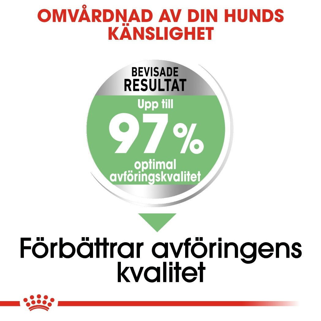 Royal Canin Maxi Digestive Care