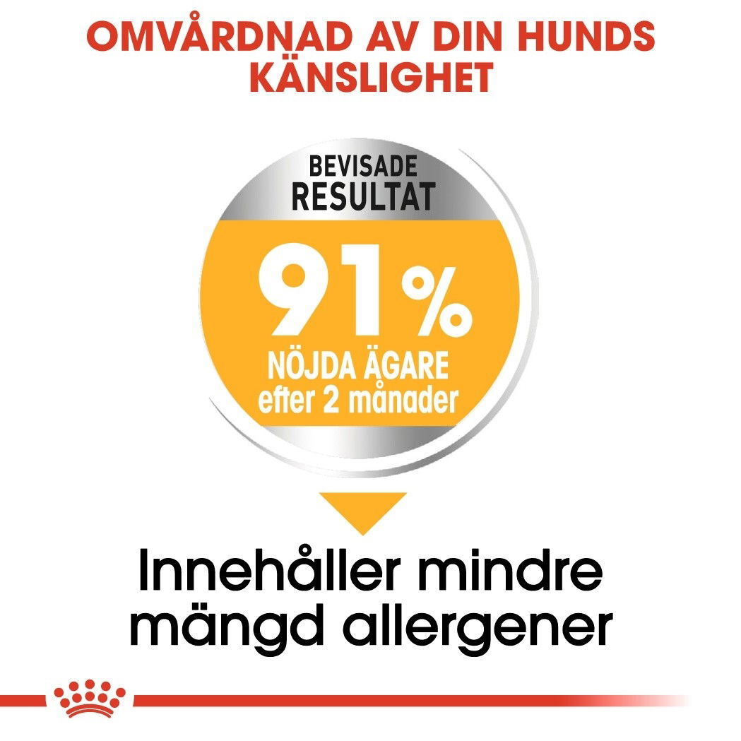 Royal Canin Dermacomfort Medium Adult torrfoder för hund