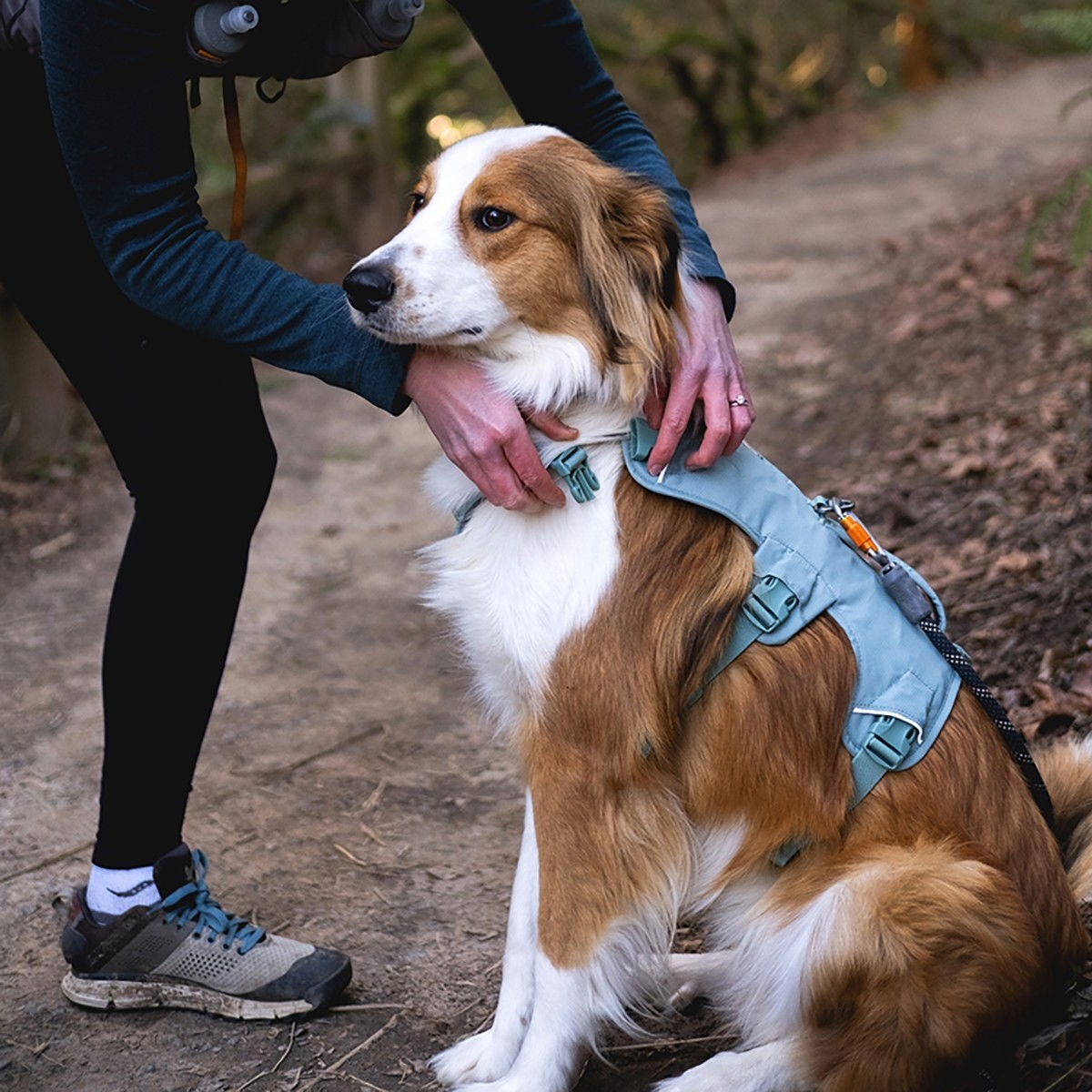 Ruffwear Web Master harness, River Rock Green
