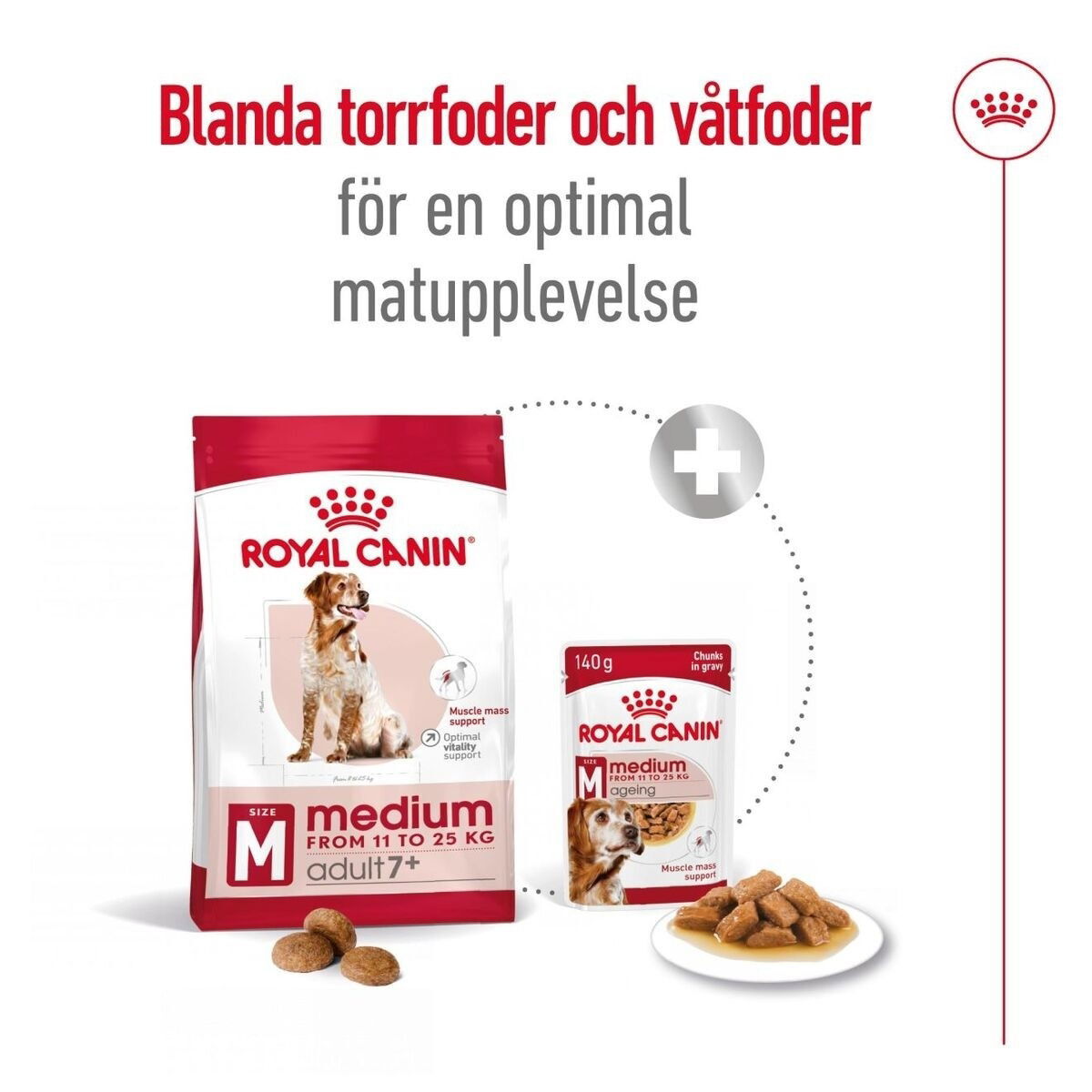 Royal Canin Medium Adult 7+ torrfoder för hund