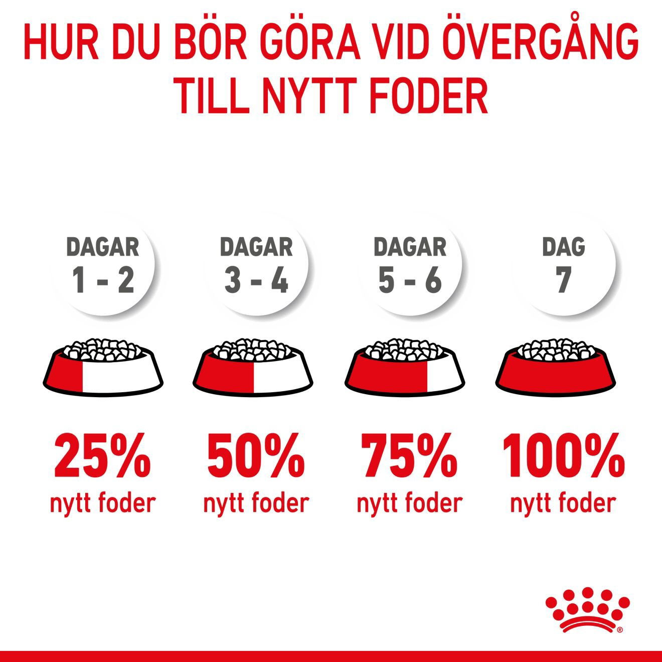 Royal Canin Mother & Babycat torrfoder för katt och kattunge