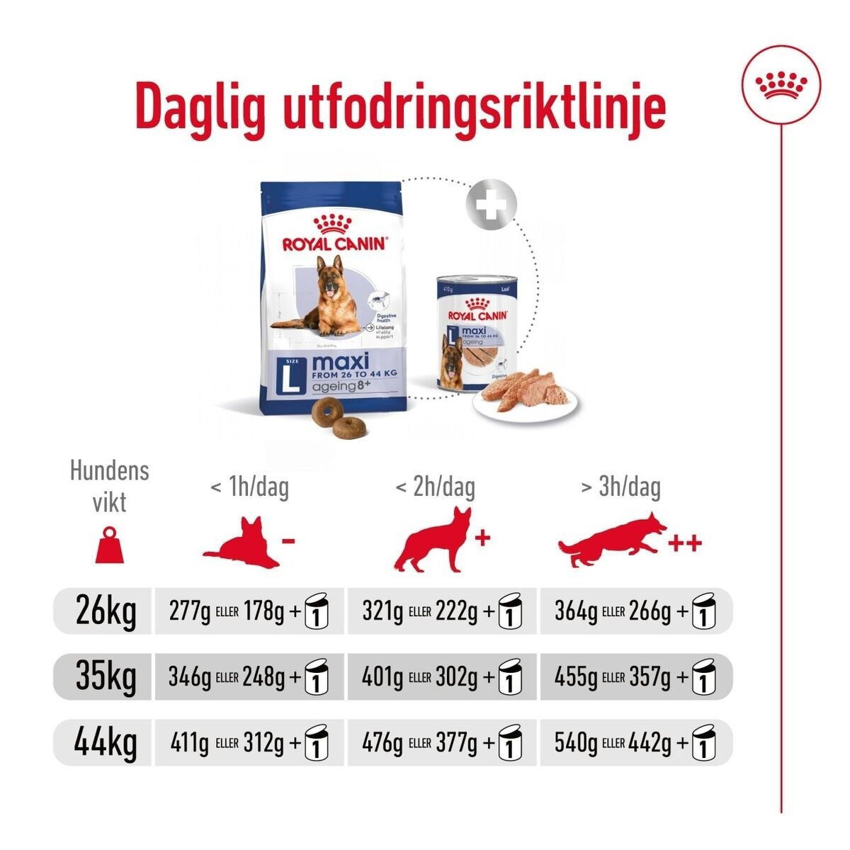 Royal Canin Maxi Ageing 8+ torrfoder för hund