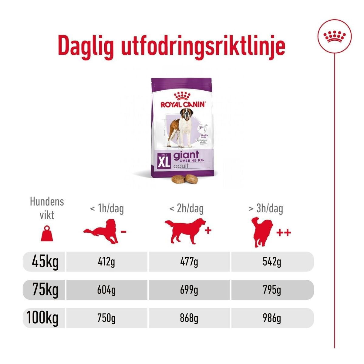 Royal Canin Giant Adult torrfoder för hund