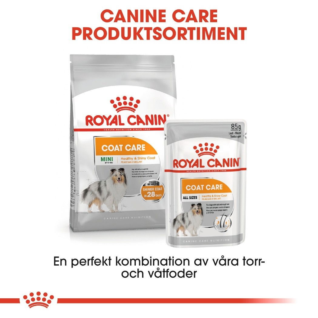 Royal Canin Coat Care Mini Adult torrfoder för hund