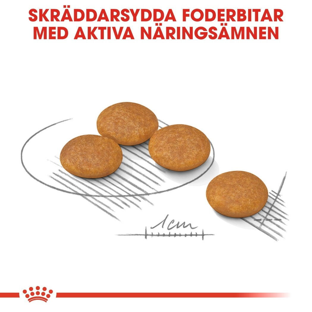 Royal Canin Mini Dermacomfort
