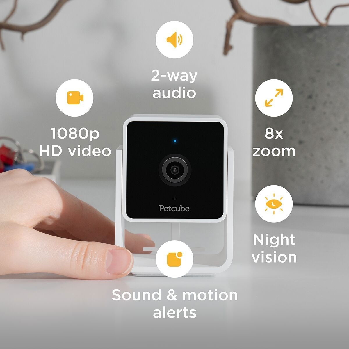 Petcube video camera 1080p HD 2 way audio