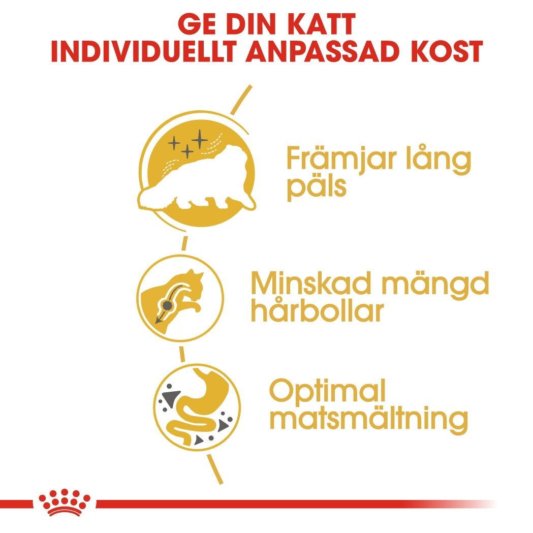 Royal Canin Persian Adult torrfoder för katt