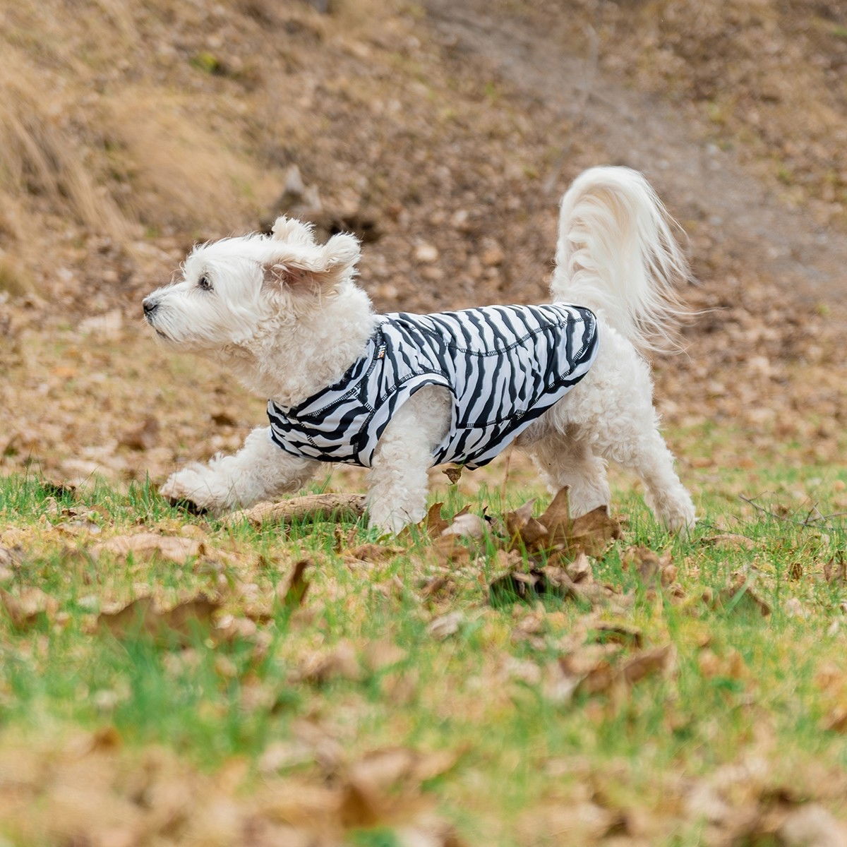 Rukka Zebra Shirt