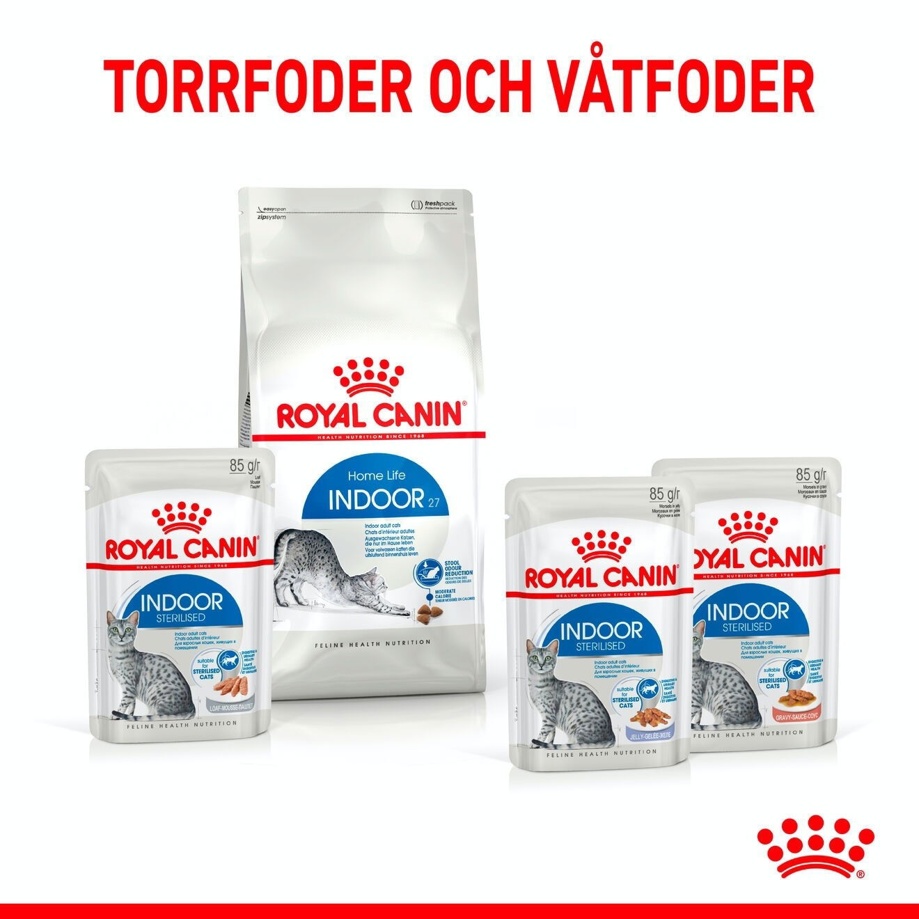 Royal Canin Indoor Sterilised Jelly Adult våtfoder för katt
