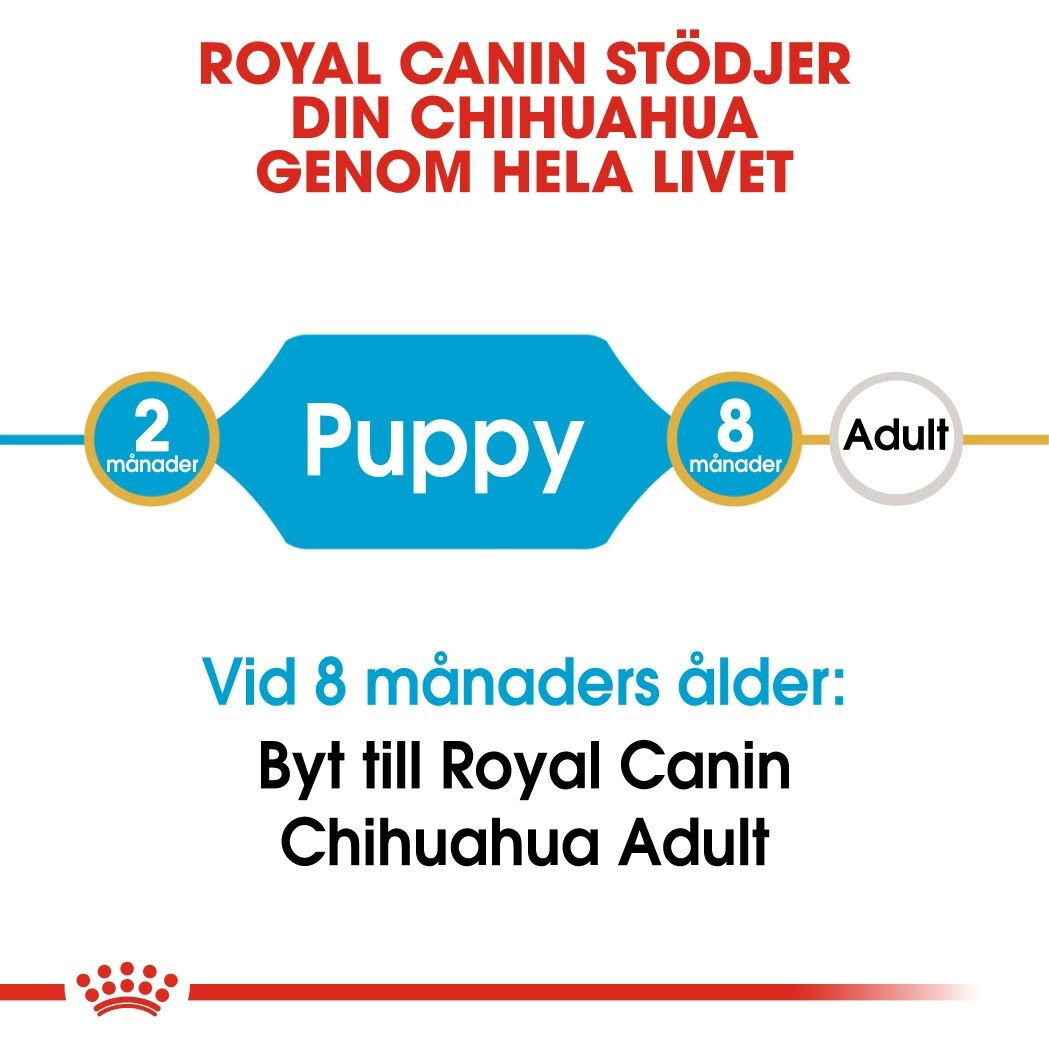 Royal Canin Chihuahua Puppy torrfoder för hundvalp