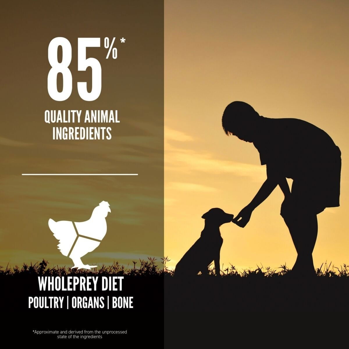 Orijen Dog Puppy Small Breed Poultry&Fish