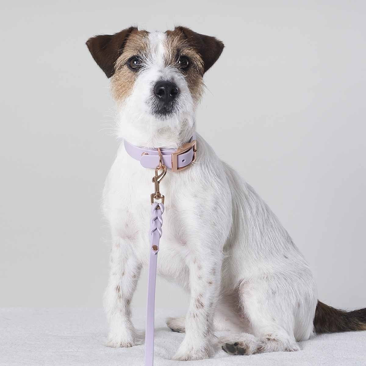 Tyylivoitto Classy narrow collar, lavender