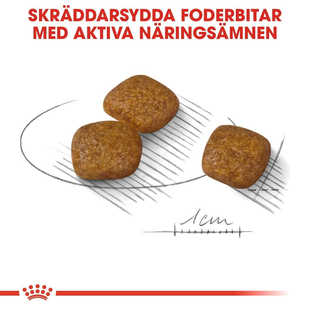 Royal Canin Urinary Care Mini Adult torrfoder för hund