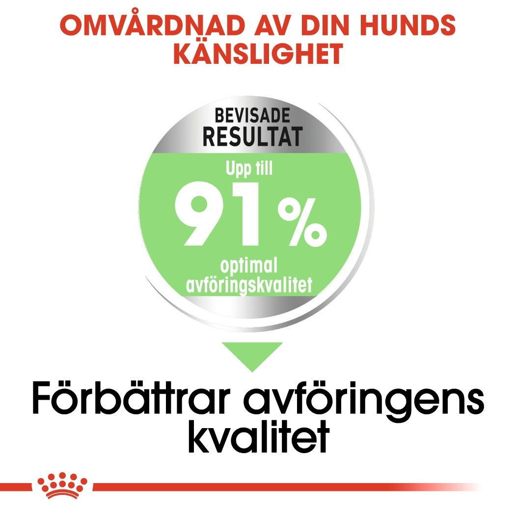 Royal Canin Digestive Care Medium Adult torrfoder för hund