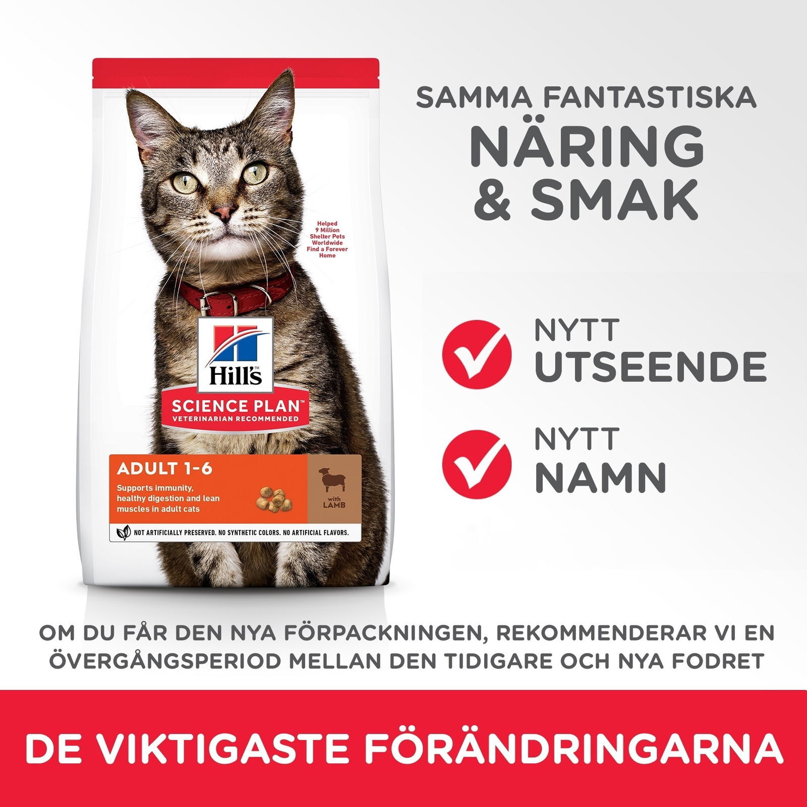 Hill's Science Plan Cat Adult Lamb & Rice